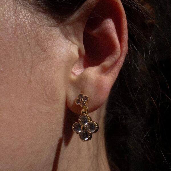 Bonita Bonita Earrings