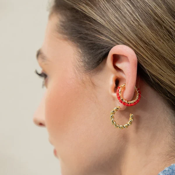 Paula Earcuff